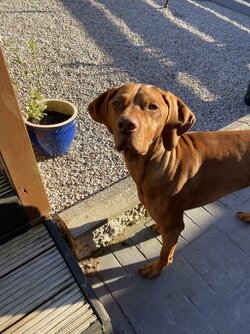 IMG_6020.jpeg