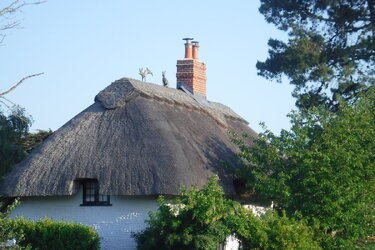 DSCF2100.JPG