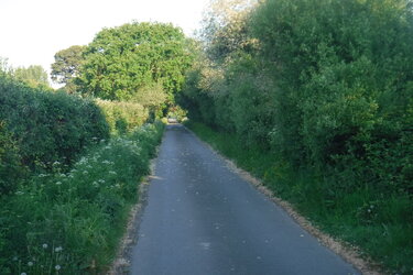 DSCF2105.JPG
