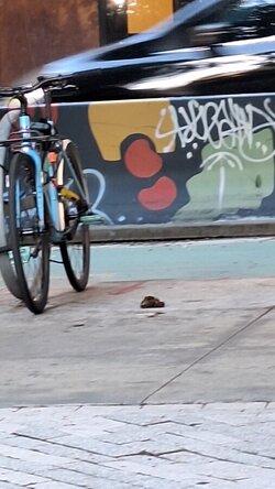 20240607_190640.jpg