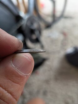 PXL_20250521_103015980.MACRO_FOCUS.jpg