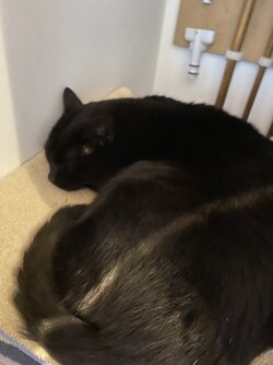 IMG_6057.jpeg