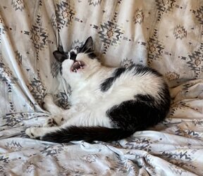 IMG_6055.jpeg