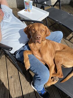 IMG_6054.jpeg