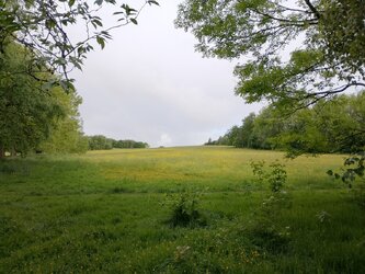 IMG_20250526_071323.jpg