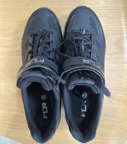 IMG_7619.jpeg