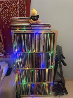IMG_3173.jpeg