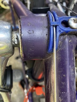 IMG_4827.jpeg