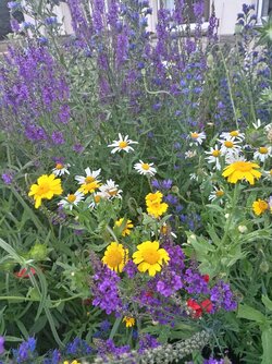 IMG_20250619_202224.jpg