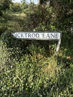 IMG_1409.jpeg