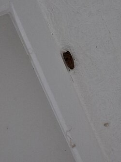 20250701_210542.jpg