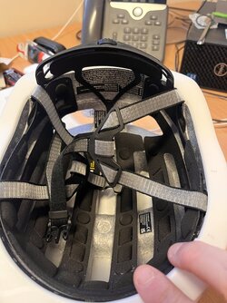 IMG_9931.jpeg