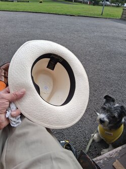 20250713_200839.jpg