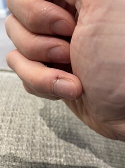 IMG_2984.jpeg