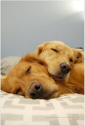 labs.jpg