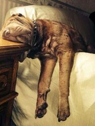 snooze.jpg