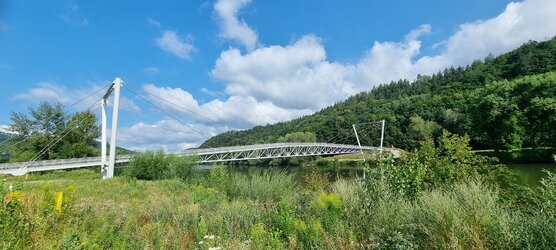 20240725_091918.jpg
