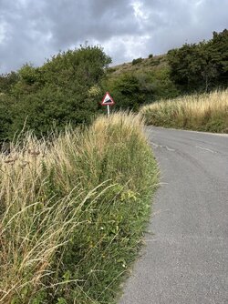 IMG_2056.jpeg