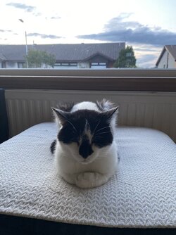 IMG_6243.jpeg