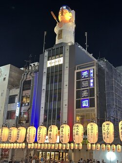 IMG_3379.jpeg