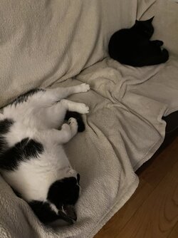 IMG_6295.jpeg