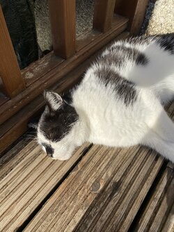 IMG_6327.jpeg