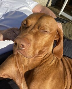 IMG_6325.jpeg