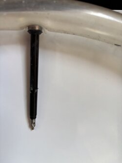IMG_2428.jpeg