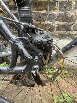 IMG_3452.jpeg