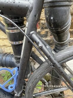 IMG_3450.jpeg