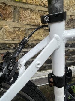 IMG_3447.jpeg