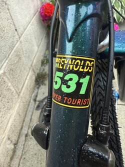IMG_7016.jpeg