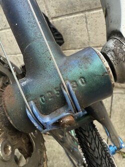 IMG_7019.jpeg