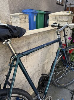 IMG_7119.jpeg