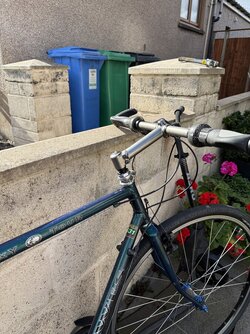 IMG_7118.jpeg