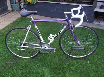 DSCF0445.JPG