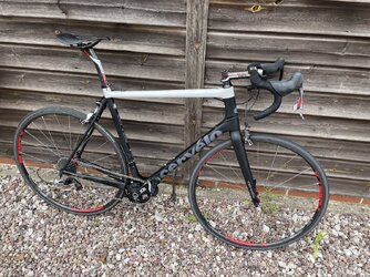 IMG_4755.jpeg IMG_4755.jpeg