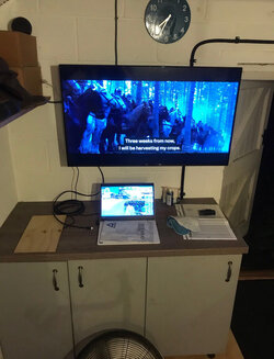 IMG_5275.jpeg