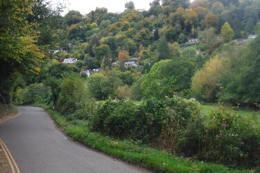 DSCF2246.JPG DSCF2246.JPG