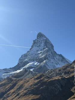 IMG_6768.jpeg