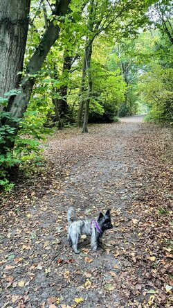 IMG_3193.jpeg