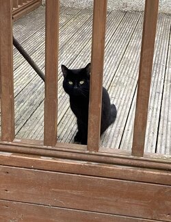 IMG_4781.jpeg
