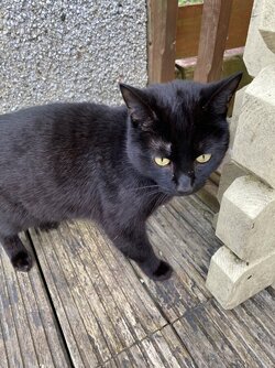 IMG_4806.jpeg