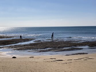 IMG_2121.jpeg