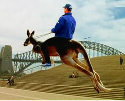 kangaroo.jpg