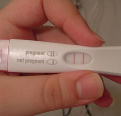pregnancy.jpg