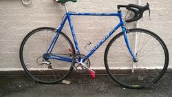 olmo.jpg olmo.jpg