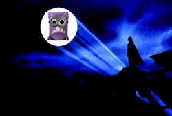 bat-sign.jpg bat-sign.jpg