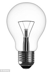 bulb.jpg