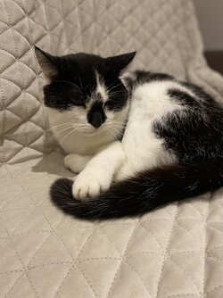 IMG_6480.jpeg